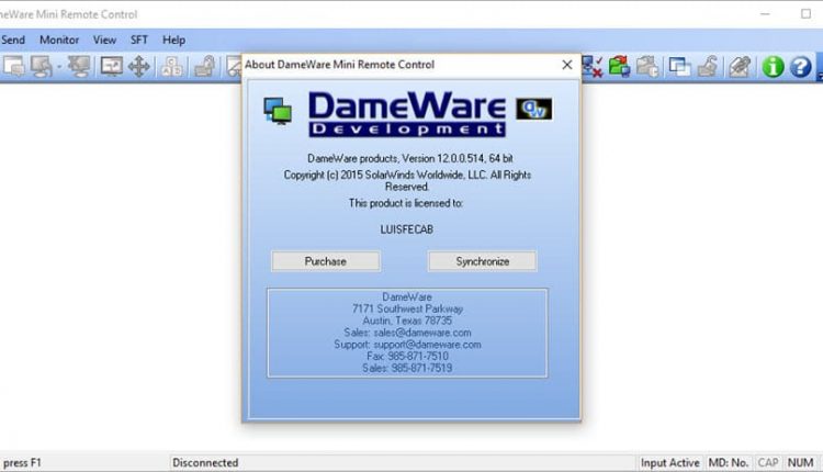dameware mini remote control server