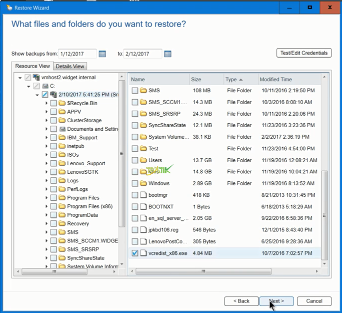Restore File and Folder Backup Exec 