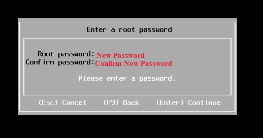 Reset Password ESXI